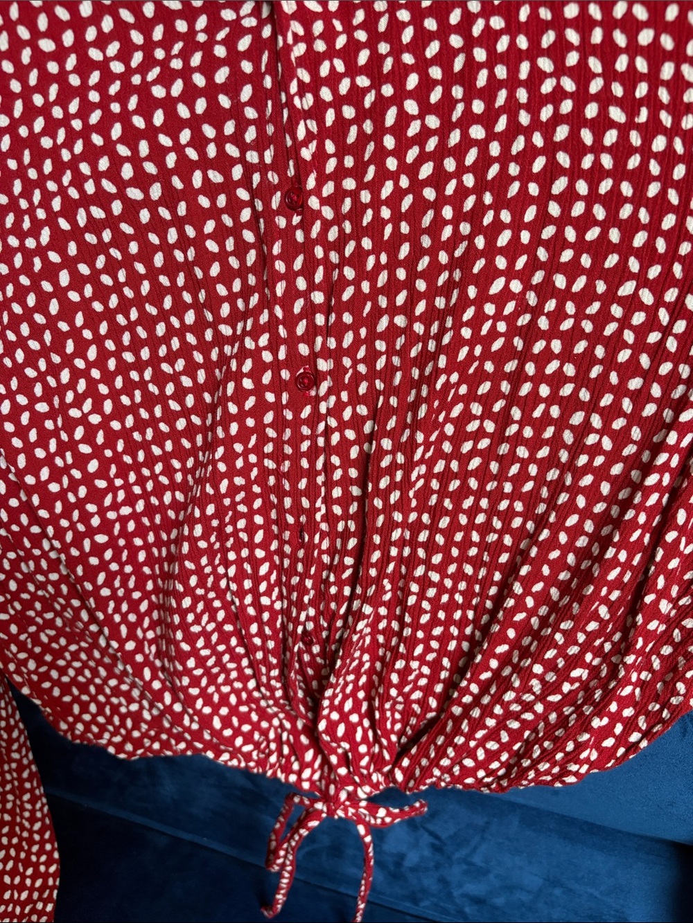 Amuse Society Red and White Dot Tie-Front Button Down Blouse - Picture 4 of 5